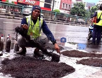 Puncak Penyebaran Ranjau Paku Terjadi di Bulan Puasa