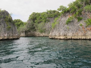 Catat Nih! Biaya Traveling ke Raja Ampat