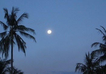 Muhammadiyah Tak Hadiri Sidang Isbat Penentuan Awal Ramadan