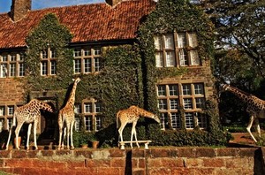 Di Hotel Ini Wisatawan Bisa Menginap Bareng Jerapah