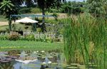 Sssttt...Kebun Cantik Ini Ternyata Ada di Garut
