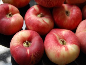 Peach Donat, si Pipih yang Renyah Segar