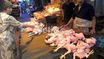 Harga Ayam di Makassar Meroket
