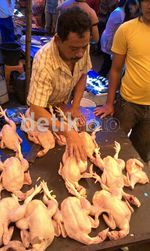 Harga Ayam di Makassar Meroket