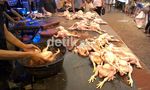 Harga Ayam di Makassar Meroket