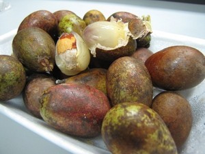 Buah Matoa, Manis Legit Kaya Manfaat