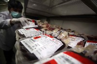 Petugas Palang Merah Indonesia (PMI) melakukan pengecekan pada kantung darah di kamar pendingin PMI.