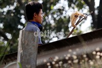 Hewan langka ini dijual dengan harga Rp 400 ribu.
