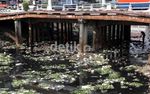 Hindari Ciliwung dari Pendangkalan Lumpur