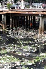 Hindari Ciliwung dari Pendangkalan Lumpur