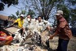 Protes Harga Kedelai Naik, Tahu Tempe Dibuang
