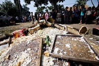 Pembuangan tahu tersebut mengundang perhatian warga sekitar.