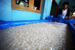 Ramadan, Penjualan Kolang Kaling Meningkat