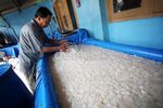 Ramadan, Penjualan Kolang Kaling Meningkat