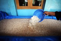 Kolang kaling tersebut dijual dengan harga bervariasi, mulai dari Rp 5 ribu hingga Rp 10 ribu perkilo.