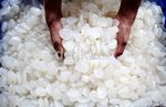 Ramadan, Penjualan Kolang Kaling Meningkat
