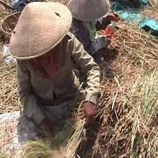 Pemprov DIY Pede Stok Pangan Aman Hadapi Lebaran