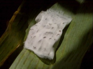 Ramai Aksi Mogok Produksi, Perajin Tempe Ini Tetap Jalan Terus