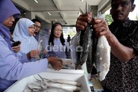 Peserta bazar dan pembeli menyemut di gedung KKP untuk Bazar Ikan Peduli Ramadan.