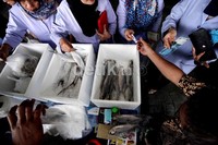 Dibandingkan Malaysia, konsumsi ikan masyarakat Indonesia lebih rendah. Di negeri jiran tersebut, konsumsi ikan telah mencapai 45 kg perkapita per tahun. Ini tentu sangat kontras mengingat potensi ikan Indonesia yang lebih luas.