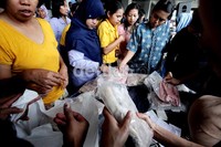 Ikan merupakan salah satu sumber protein yang baik bagi kesehatan manusia. Menurut para ahli gizi, bahwa kecukupan protein terutama pada masa pertumbuhan akan mempengaruhi tingkat kecerdasan, sehingga kekurangan protein dapat berakibat terganggunya pertumbuhan otak.