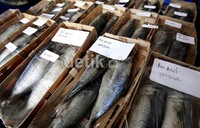 Bazar ikan peduli Ramadan dilakukan di gedung Kementrian Kelautan dan Perikanan (KKP), Jakarta, hingga 27 Ramadan