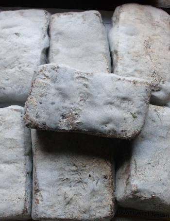 Tempe Tak Selalu Dari Kedelai, Ada Jenis-Jenis Tempe Lain!