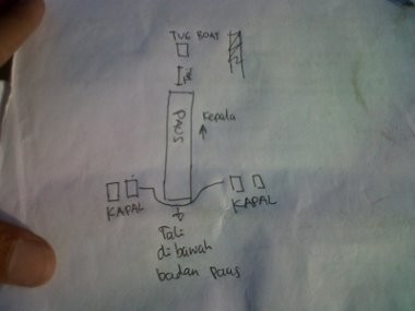 Ini Dia Skenario Penyelamatan Paus Sore ini