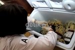 Puasa, Warga Tetap Mendonorkan Darahnya