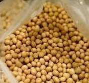 Tolak Pembebasan Bea Masuk Impor Kedelai!