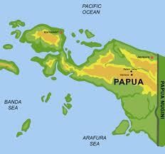 Banjir di Papua, 1 Remaja Tewas & 250 KK Mengungsi