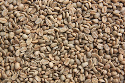Wamena, Penghasil Kopi Terbaik di Dunia!