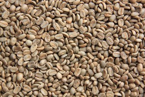 Wamena, Penghasil Kopi Terbaik di Dunia!