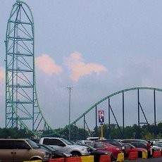 Asyik Naik Rollercoaster, Bocah AS Dihantam Burung Hingga Terluka