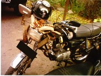 Di bagian kepala motor tersimpan tanduk domba jantan yang kokoh. (Foto Mercy Leonora/Bandung).