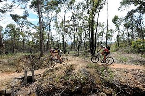 Seru! Mengayuh Sepeda di Jalur Harta Karun Australia