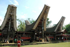 Misteri di Balik Uniknya Rumah Tongkonan
