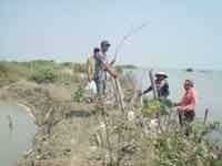 Abrasi di Kedungmutih Semakin Mengganas