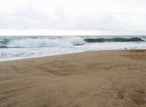 Muara Beting, Inilah Pantai Milik Bekasi