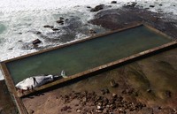 Paus itu diduga mati di laut sebelum terdampar di kolam renang laut di Newport Beach. Reuters/Daniel Munoz.