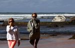 Paus 25 Ton Terdampar di Australia