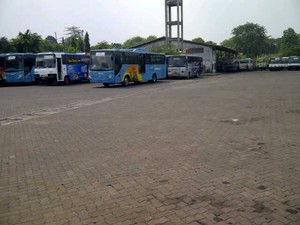 PPD: Kami Terkendala Armada & Terhimpit Busway