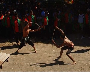 Perang Rotan di Timur Jawa