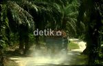 Membelah Jalan Trans Sabah