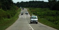 Kendaraan membelah hamparan pepohonan pinus serta areal perkebunan kelapa sawit di kiri kanan jalan. Andi Saputra/detikcom.