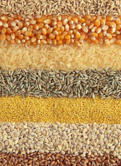 Ingin Terapkan Diet Vegetarian Pada Anak? Berikan Juga Makanan Ini