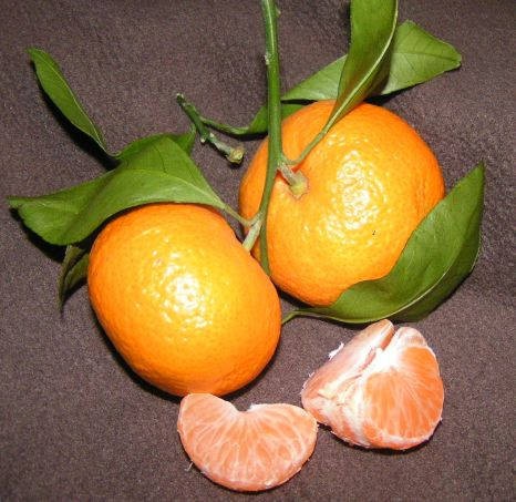 Ini Dia 9 Buah Impor Favorit Indonesia