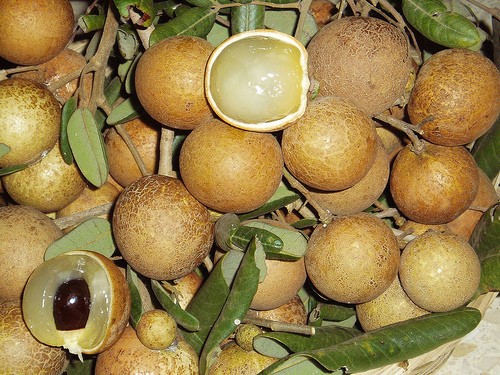 Ini Dia 9 Buah Impor Favorit Indonesia