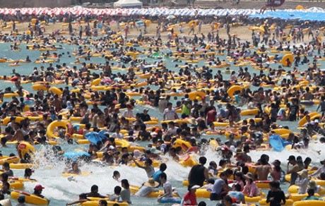 Gelombang Panas di Korsel Tewaskan 10 Orang