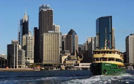 Duh! Paus & Anaknya Ditabrak Kapal Feri di Australia
